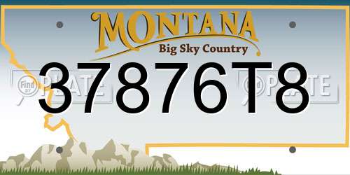 37876T8 Montana License Plate