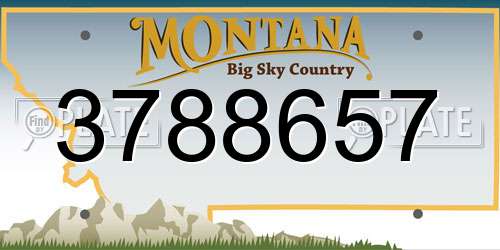 3788657 Montana License Plate