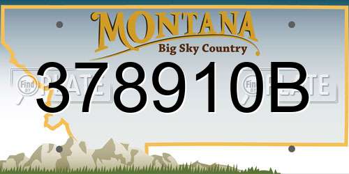 378910B Montana License Plate