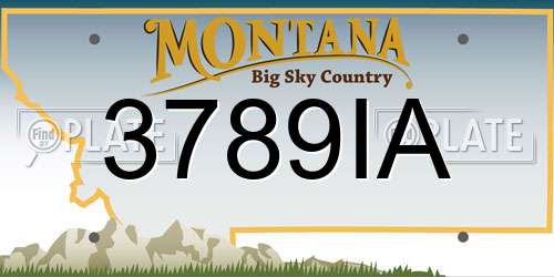 3789IA Montana License Plate