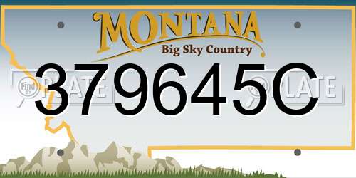 379645C Montana License Plate
