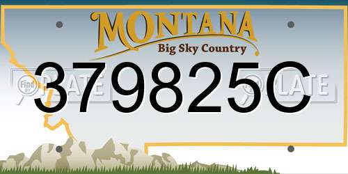 379825C Montana License Plate