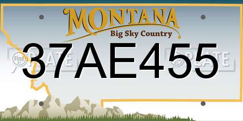 37AE455 Montana License Plate
