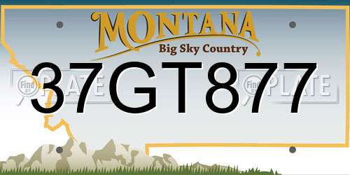 37GT877 Montana License Plate