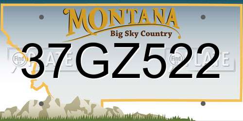 37GZ522 Montana License Plate
