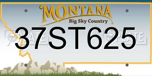37ST625 Montana License Plate