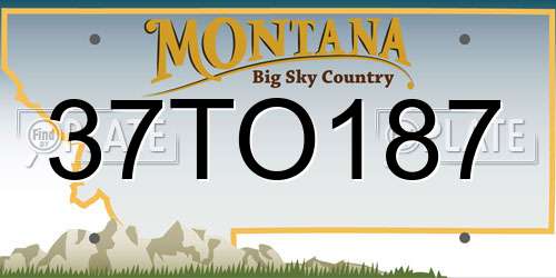 37TO187 Montana License Plate