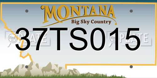 37TS015 Montana License Plate