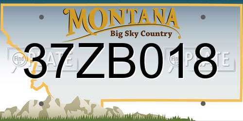 37ZB018 Montana License Plate
