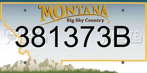 381373B Montana License Plate