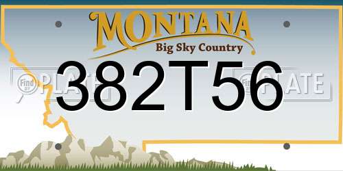 382T56 Montana License Plate