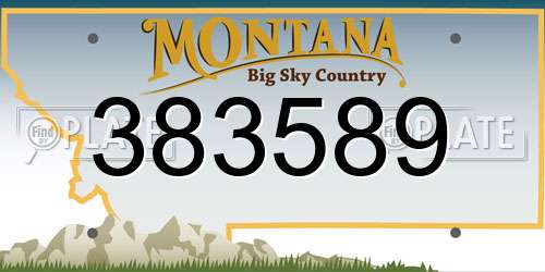 383589 Montana License Plate