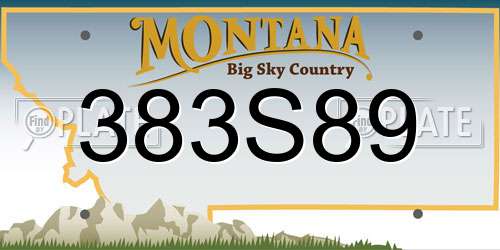 383S89 Montana License Plate