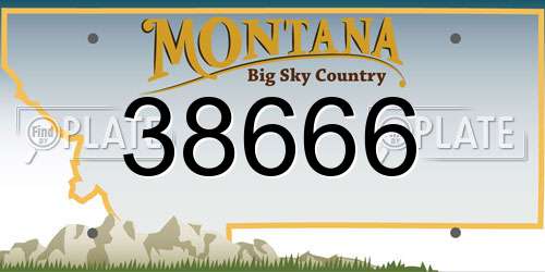 38666 Montana License Plate