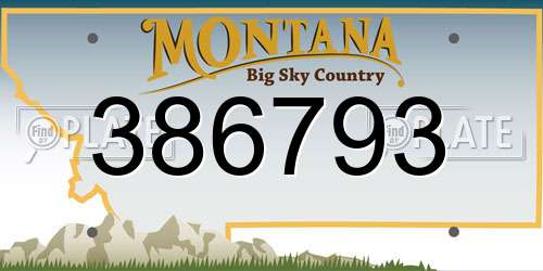 386793 Montana License Plate