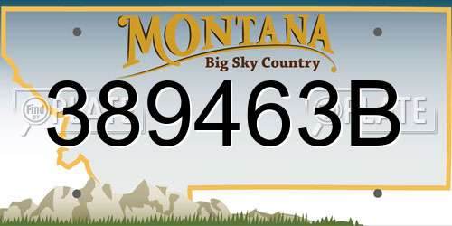 389463B Montana License Plate