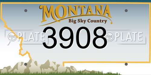 3908 Montana License Plate