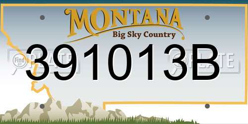 391013B Montana License Plate