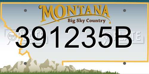 391235B Montana License Plate