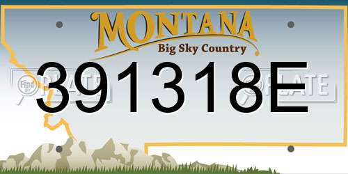 391318E Montana License Plate