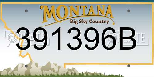 391396B Montana License Plate