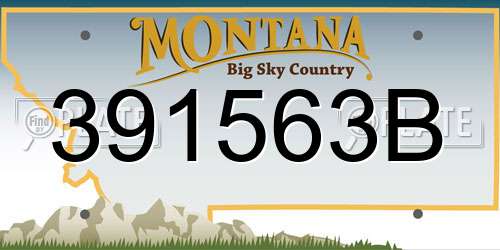 391563B Montana License Plate