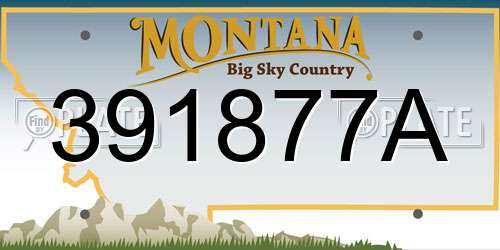 391877A Montana License Plate