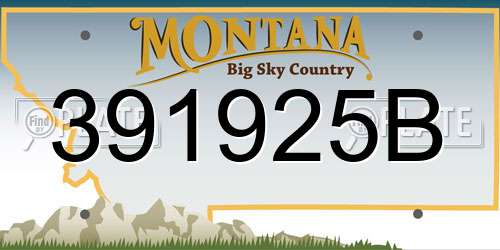 391925B Montana License Plate
