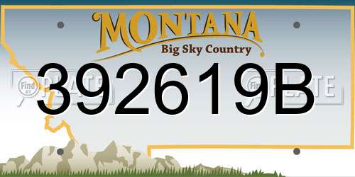 392619B Montana License Plate