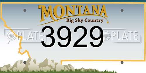 3929 Montana License Plate