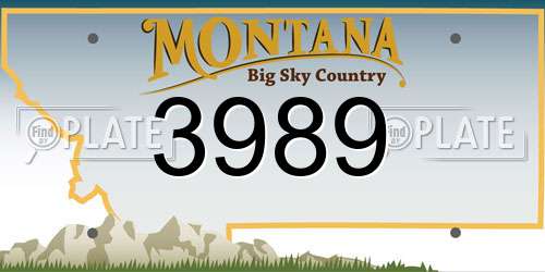 3989 Montana License Plate