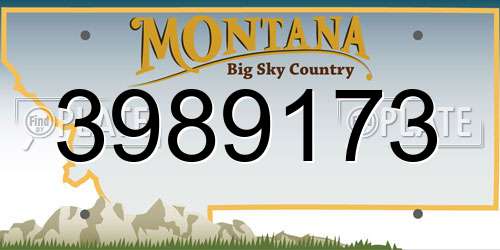 3989173 Montana License Plate