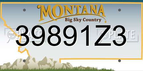 39891Z3 Montana License Plate