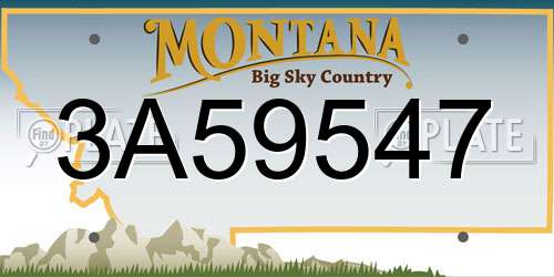3A59547 Montana License Plate