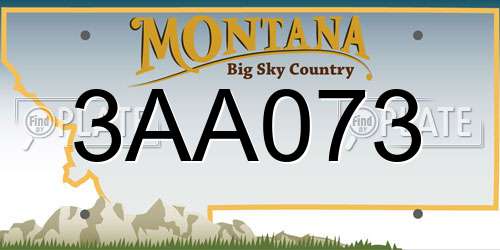 3AA073 Montana License Plate