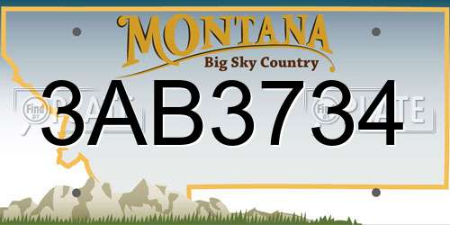3AB3734 Montana License Plate