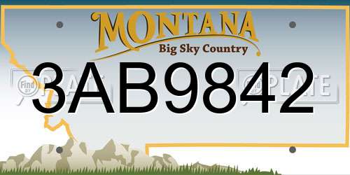 3AB9842 Montana License Plate