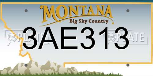 3AE313 Montana License Plate