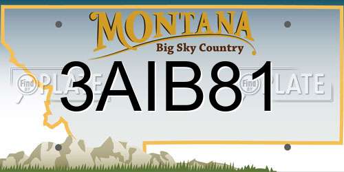 3AIB81 Montana License Plate