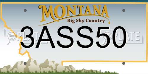 3ASS50 Montana License Plate