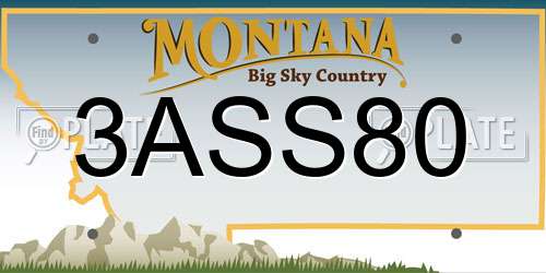 3ASS80 Montana License Plate