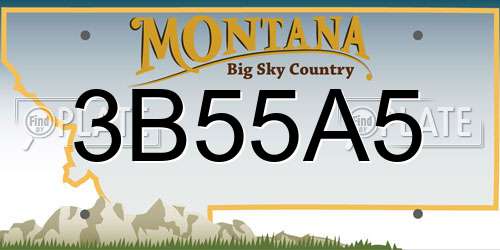 3B55A5 Montana License Plate
