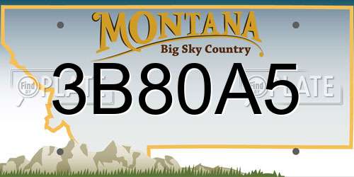 3B80A5 Montana License Plate