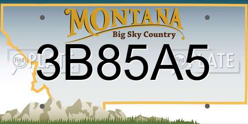 3B85A5 Montana License Plate