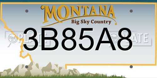 3B85A8 Montana License Plate