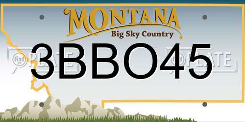 3BBO45 Montana License Plate