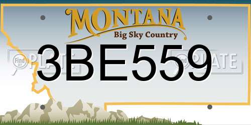 3BE559 Montana License Plate