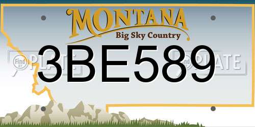 3BE589 Montana License Plate