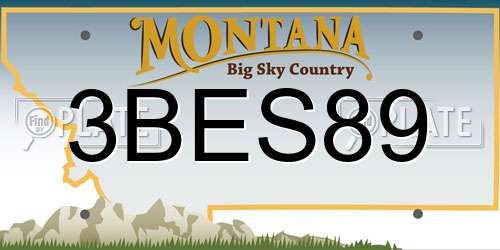3BES89 Montana License Plate