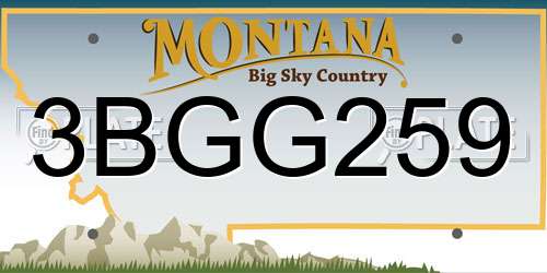 3BGG259 Montana License Plate